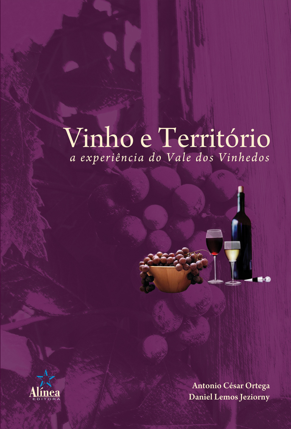 Vinho e Território: a experiência do vale dos vinhedos-0